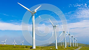 Wind turbines - Renewable Energy photo