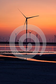 Wind farm and the salted lake Syvash at sunset light, scenic industrial and nature landscape, Kherson oblast, Ukraine