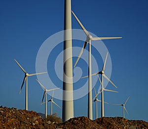 Wind farm with scattered turbines