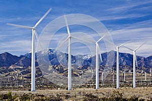 Wind Farm in Southern California