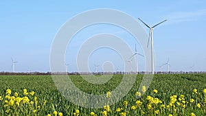 Wind farm in a spring field