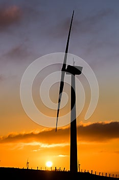 Wind Farm Sunrise