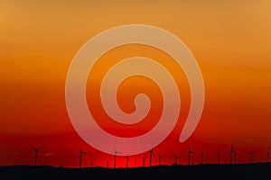 Wind farm in sunset