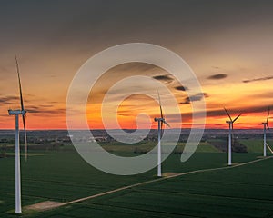 Wind farm at sunset from above