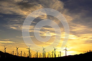 Wind farm at sunset