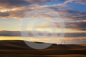 The wind farm is surrounded by undulating fields