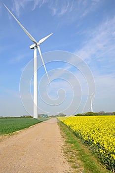 Wind farm turbines in field