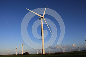 Wind farm turbines that produce electricity energy. Windmill Wind power technology productions Wind turbines standing in green fie