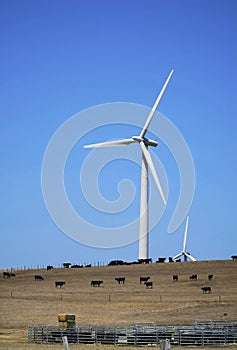 Wind Farm Turbines - Renewable Clean Green Energy