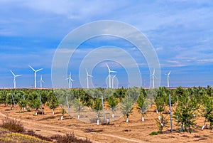 Wind Farm Turbines - Renewable Clean Green Energy