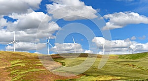 Wind farm turbines white on hill contrast green grass and blue sky, wa