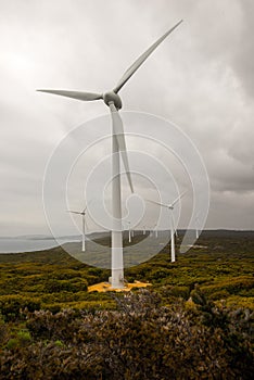 Wind farm view near Albany
