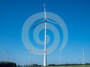 Wind farm wind energy electricity ecology