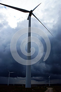 Wind farm windmill wind farm on the field against the blue sky