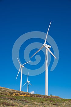 Wind Farm Windmills in California