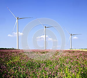 Wind farms .