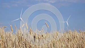 Wind farms in rural areas against the background of agricultural fields. Close up