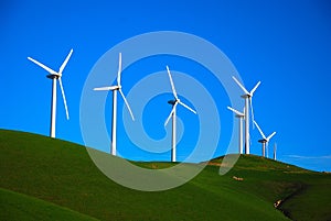 Wind Generating Farm photo