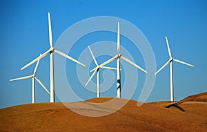 Wind Generating Farm in California