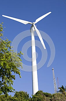 Wind generator