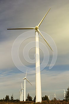 Wind generator on blue sky background. electricity production. place for text, at sunset