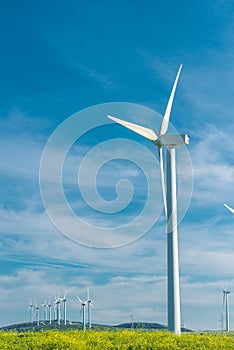 Wind generator in a field