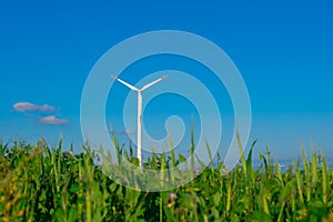 Wind generator in grass. Windmill on blue sky background.renewable energy.Environmentally friendly natural energy source