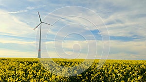 Wind generator in a rapeseed field.Bio fuel and green energy concept. slow movement of screws.Natural renewable clean