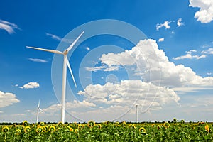 The wind generator in sunflower field. Beautiful landscape with bright cloudy sky. Eco energy concept