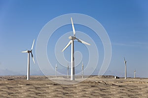 Wind generators in Egypt