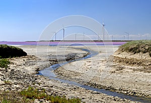 Wind generators of electricity on the shore of pink lake, Kherson region, Ukraine