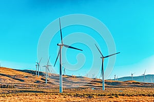 Wind generators in the endless fields