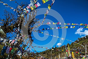 Wind horse , Bhutanese Buddhist Longta, Prayer flags, Bhutan.