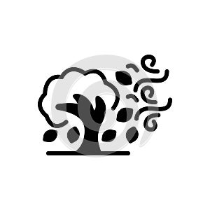 Black solid icon for Wind, air and breeze