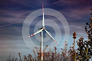 Wind machines among fields against bright sky