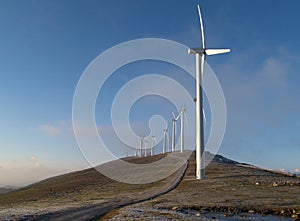 Wind Mill photo