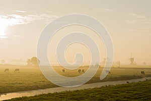 Wind Mill and Cows Streefkerk