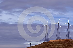 Wind Mill Farm 1