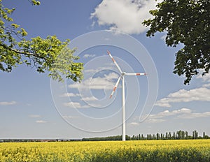 Wind mill in a field