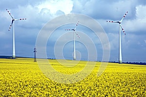 Wind mill field and rural landscape