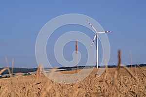 Wind mill on the grain field with blue sky