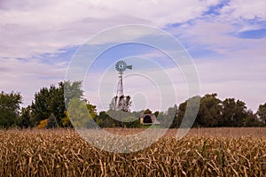 Wind mill and house standing near corn field on cloudy sky background. Rural view. country side