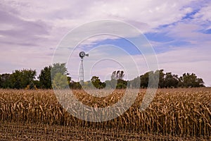 Wind mill standing in corn field on cloudy sky. Rural view. country side