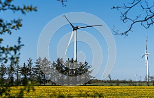 Wind mill turbine burnt down by fire accident