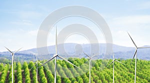 Wind Mill Turbine Power Energy Generator Farm Electric Renewable Sustainable Field Green Park Mountain Nature Environment Clean