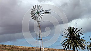 Wind Mill Well Water Palm Trees.