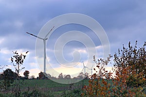 Wind mills in a alternative energy wind park in northern germany