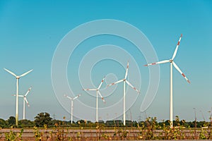 Wind mills during bright