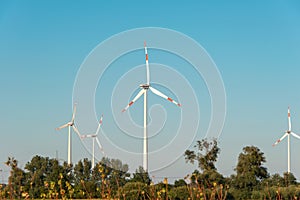 Wind mills during bright