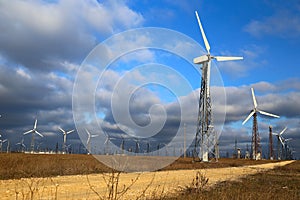 Wind mills during bright summer day